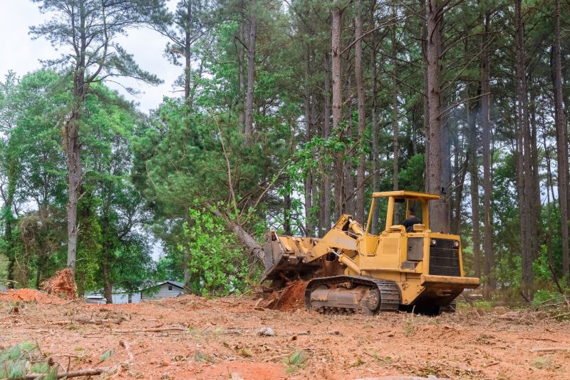 Large-Scale Land Clearing