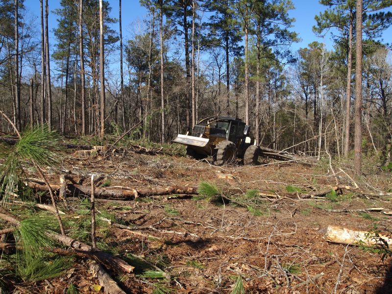 Large-Scale Clearing Projects
