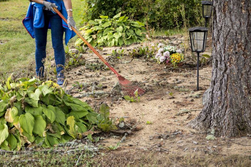 Site Clearing Service in Utah County, UT