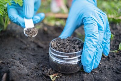 Soil Testing Services